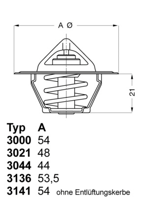 Termostat, chladivo BorgWarner (Wahler)