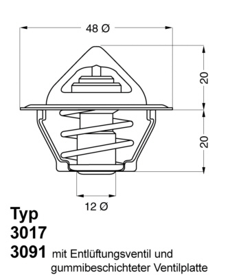 Termostat, chladivo BorgWarner (Wahler)