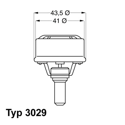 Termostat, chladivo BorgWarner (Wahler)