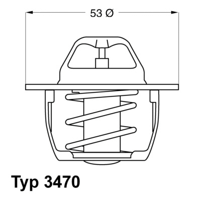 Termostat, chladivo BorgWarner (Wahler)