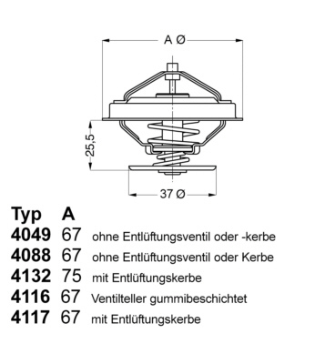 Termostat, chladivo BorgWarner (Wahler)