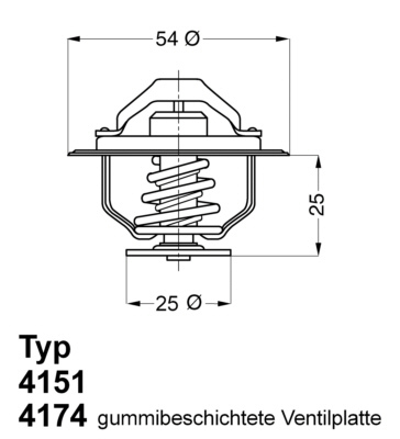 Termostat, chladivo BorgWarner (Wahler)