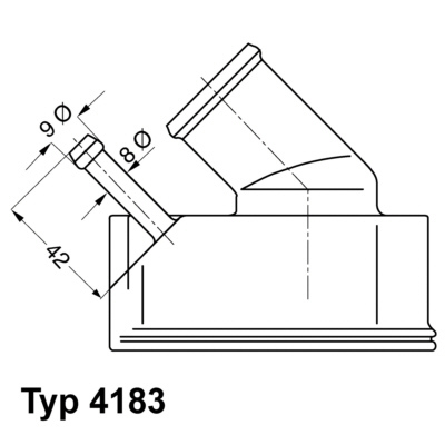 Termostat, chladivo BorgWarner (Wahler)