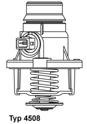 Termostat, chladivo BorgWarner (Wahler)