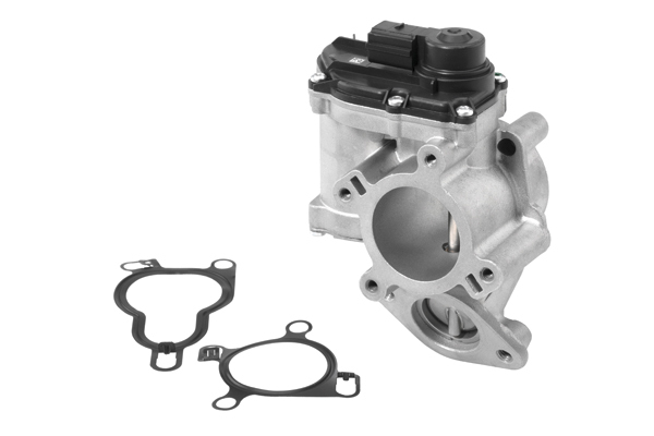 AGR-Ventil BorgWarner (Wahler)