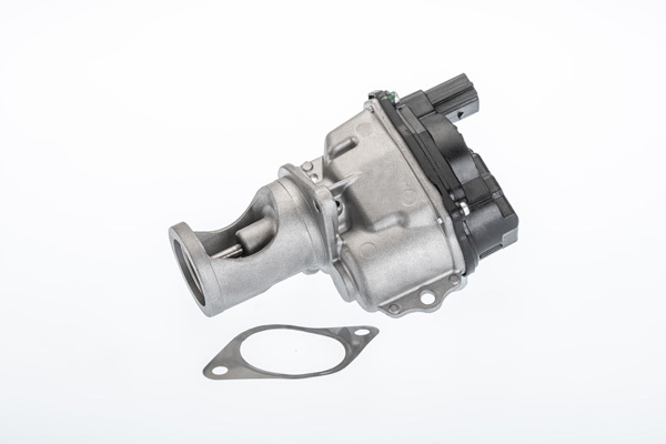 AGR-Ventil BorgWarner (Wahler)