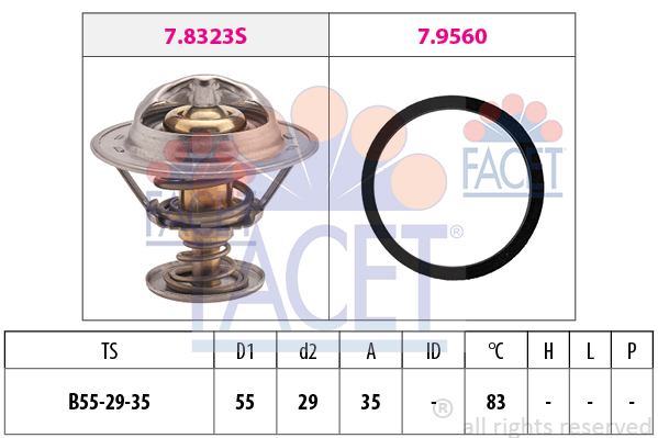 Termostat, chladivo FACET