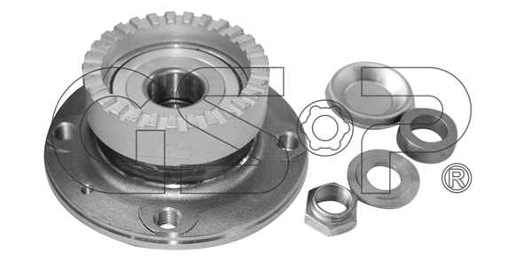 Sada ložisek kol GSP