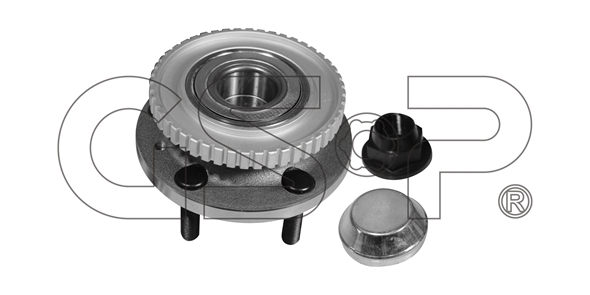 Sada ložisek kol GSP