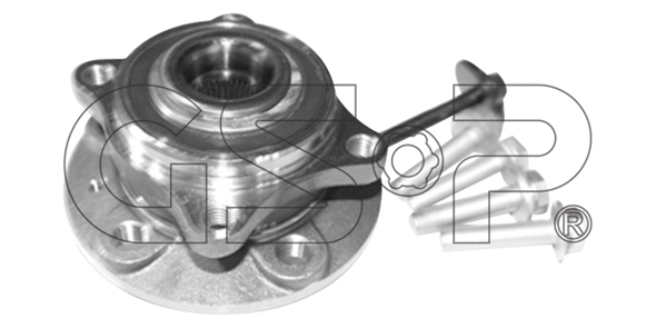 Sada ložisek kol GSP