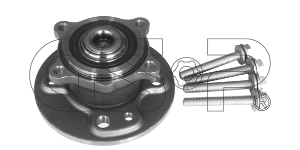 Sada ložisek kol GSP