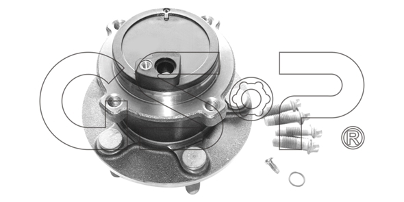 Sada ložisek kol GSP