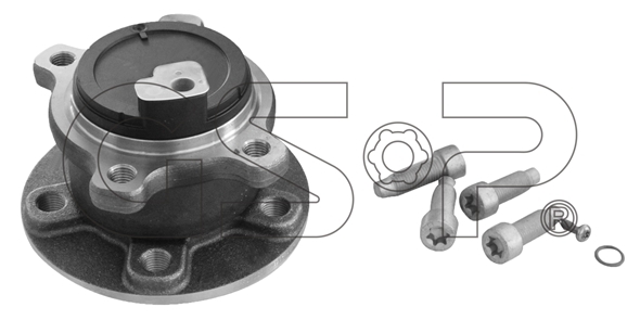 Sada ložisek kol GSP