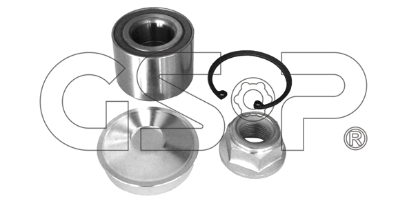 Sada ložisek kol GSP