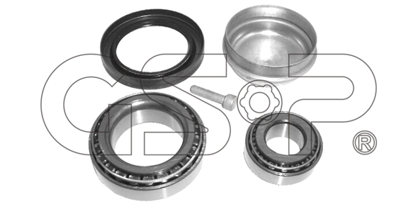 Sada ložisek kol GSP